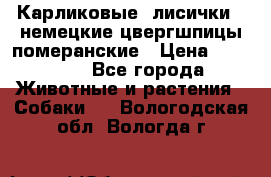 Карликовые “лисички“  немецкие цвергшпицы/померанские › Цена ­ 35 000 - Все города Животные и растения » Собаки   . Вологодская обл.,Вологда г.